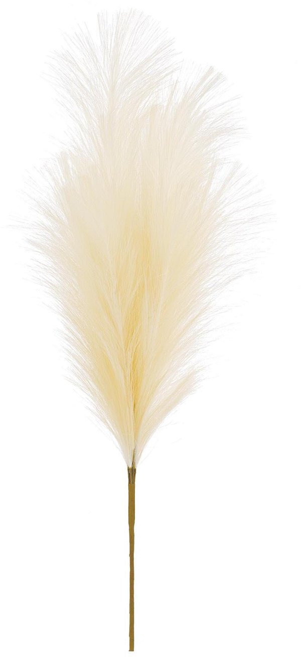 Ramo Pampas