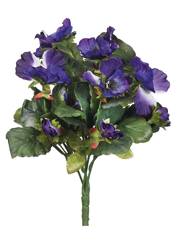 Bush Pansè