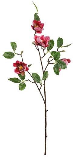 Ramo di Magnolia con 5 Fiori