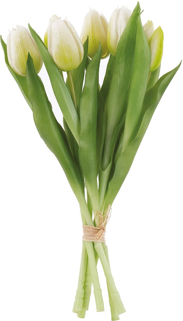 Bundle 7 Tulipani Real Touch