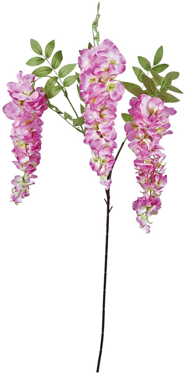 Ramo Glicine con 3 Fiori