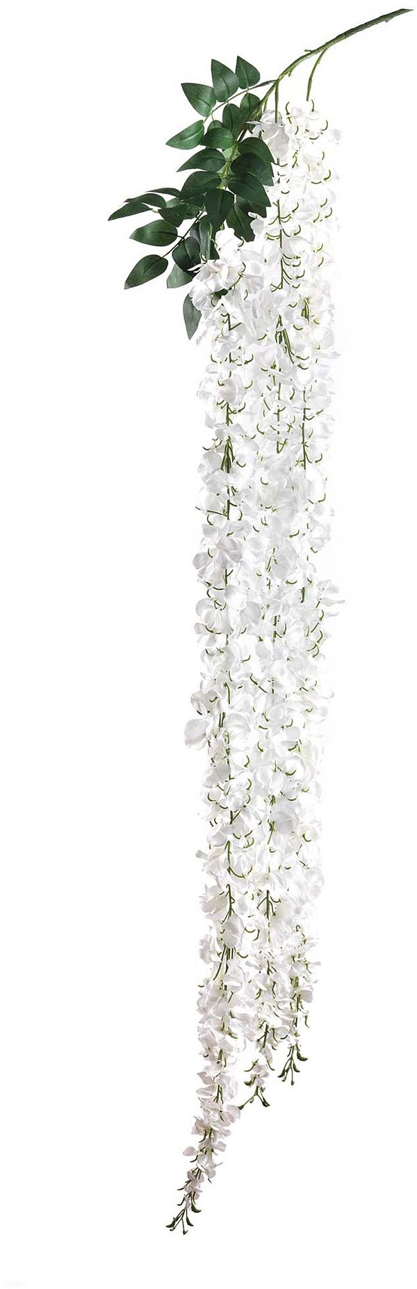 Tralcio Glicine Pendente con 3 Fiori