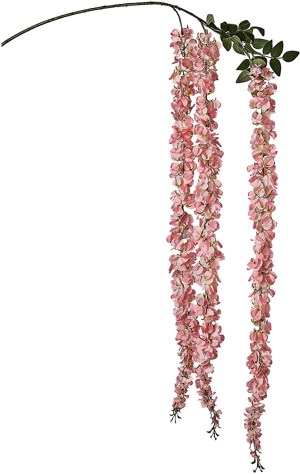 Tralcio Glicine Pendente con 3 Fiori