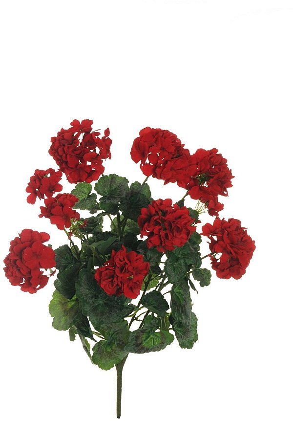 Bush 5 Rami Geranio Velvet