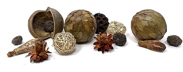 Frutti Esotici Assortiti