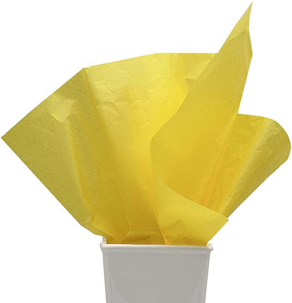 500 Fogli Carta Velina Colorata