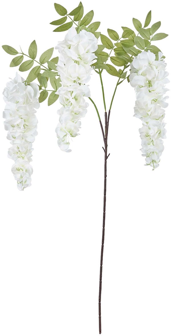 Ramo Glicine con 3 Fiori