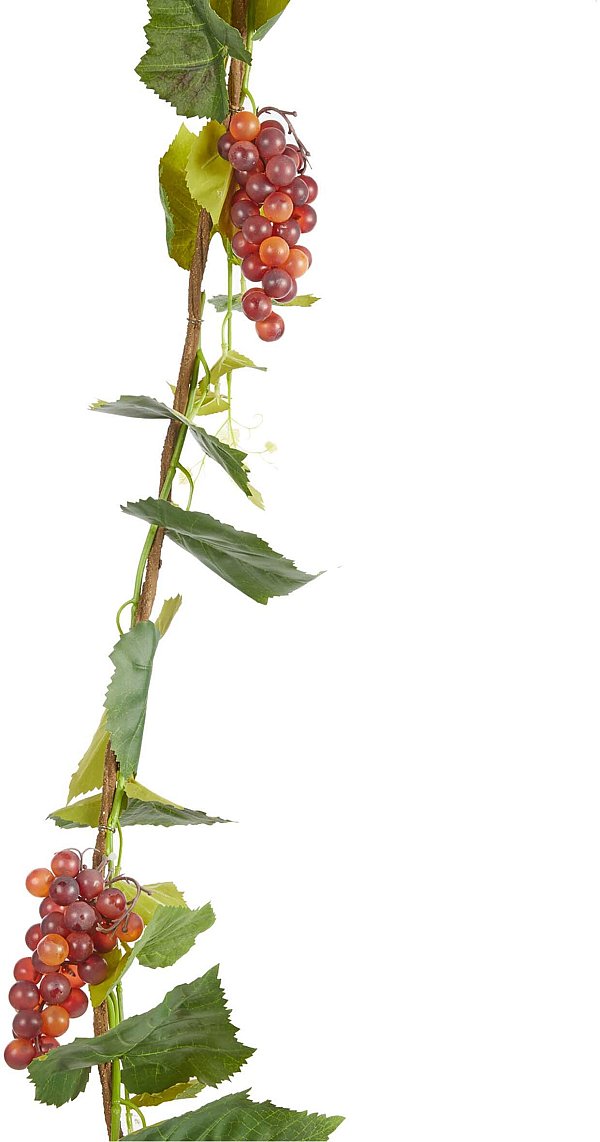 Tralcio Uva