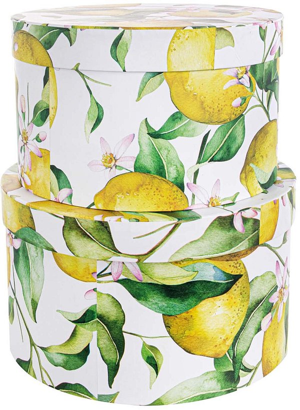 Set Scatole Fasciate Tonde Limoni