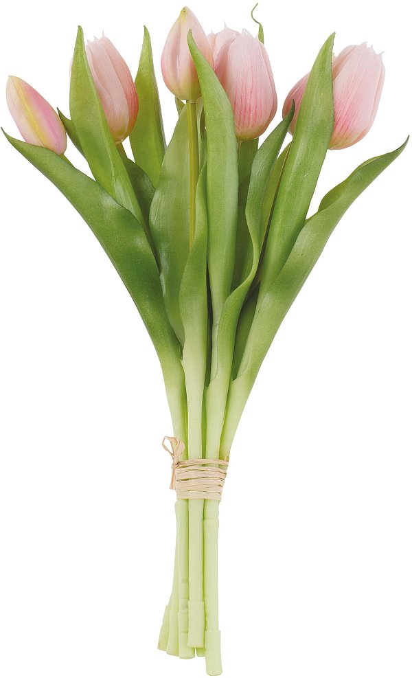 Bundle 7 Tulipani Real Touch