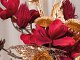 MERLO0763_copia_uxsn-ce