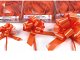 070800046